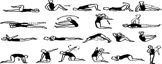 ���������� - �������� ���������� �������� (�������������)