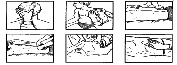 ���������� - �������� ���������� �������� (�������������)