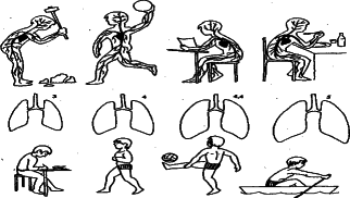 ���������� - �������� ���������� �������� (�������������)