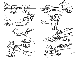 ���������� - �������� ���������� �������� (�������������)