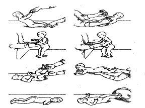 ���������� - �������� ���������� �������� (�������������)