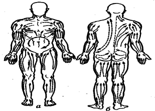 ���������� - �������� ���������� �������� (�������������)