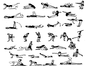 ���������� - �������� ���������� �������� (�������������)