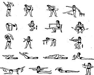 ���������� - �������� ���������� �������� (�������������)