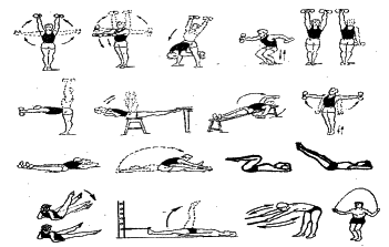 ���������� - �������� ���������� �������� (�������������)