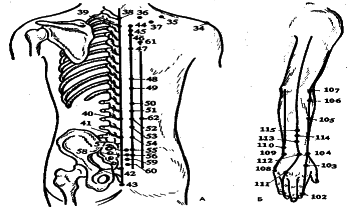 ���������� - �������� ���������� �������� (�������������)
