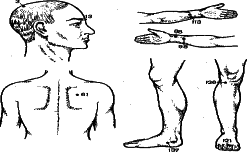 ���������� - �������� ���������� �������� (�������������)