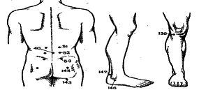 ���������� - �������� ���������� �������� (�������������)