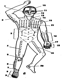 ���������� - �������� ���������� �������� (�������������)