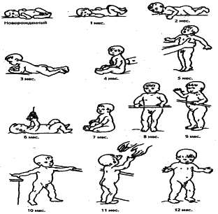 ���������� - �������� ���������� �������� (�������������)