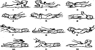 ���������� - �������� ���������� �������� (�������������)