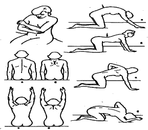 ���������� - �������� ���������� �������� (�������������)