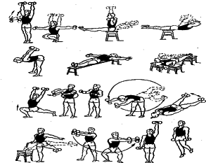 ���������� - �������� ���������� �������� (�������������)