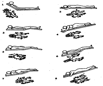 ���������� - �������� ���������� �������� (�������������)