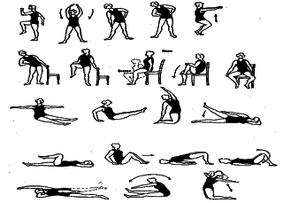 ���������� - �������� ���������� �������� (�������������)