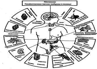 ���������� - �������� ���������� �������� (�������������)