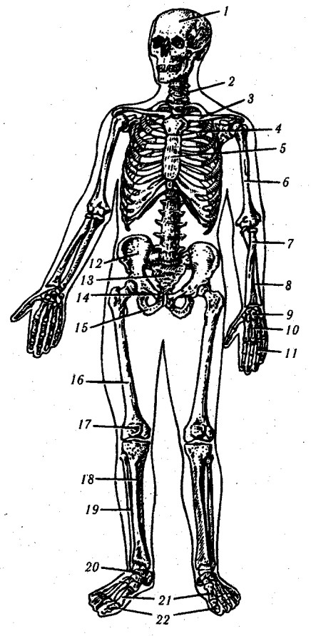 ������� - ���������� �������� ��������