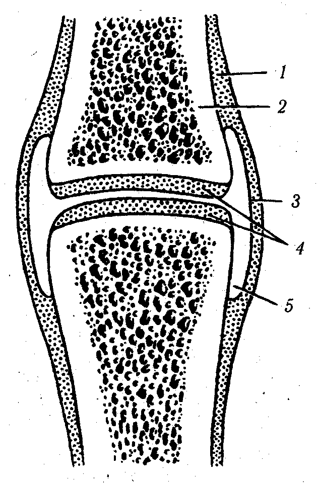 ������� - ���������� �������� ��������