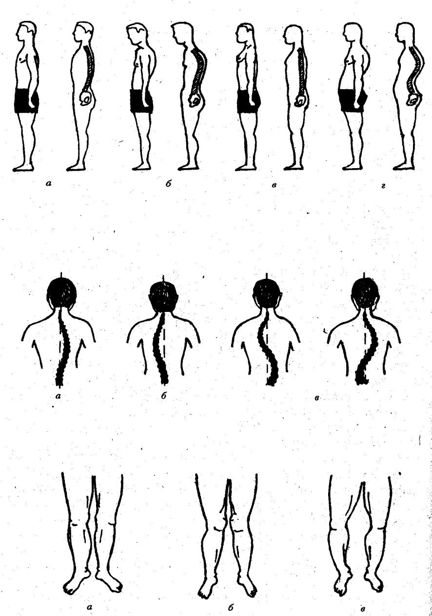 ������� - ���������� �������� ��������