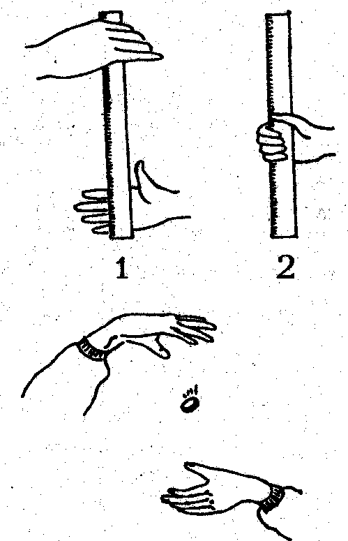 ������� - ���������� �������� ��������