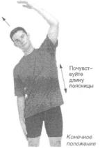 �������� - ������� - ���� �����