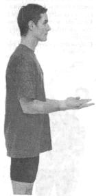 �������� - ������� - ���� �����