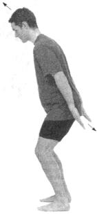 �������� - ������� - ���� �����