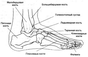 �������� - ������� - ���� �����