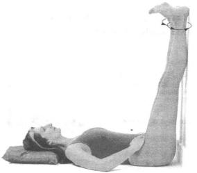 �������� - ������� - ���� �����