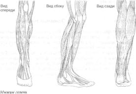 �������� - ������� - ���� �����