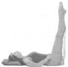 �������� - ������� - ���� �����