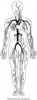 �������� - ������� - ���� �����