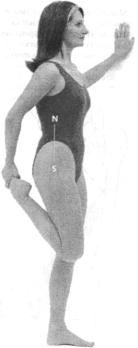 �������� - ������� - ���� �����