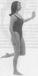 �������� - ������� - ���� �����