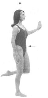 �������� - ������� - ���� �����