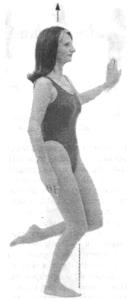 �������� - ������� - ���� �����