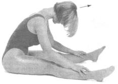 �������� - ������� - ���� �����