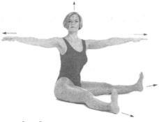 �������� - ������� - ���� �����