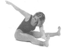 �������� - ������� - ���� �����