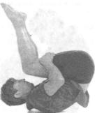 �������� - ������� - ���� �����