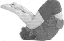 �������� - ������� - ���� �����