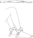 �������� - ������� - ���� �����