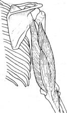 �������� - ������� - ���� �����