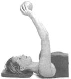 �������� - ������� - ���� �����