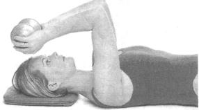 �������� - ������� - ���� �����