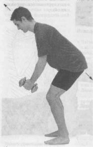 �������� - ������� - ���� �����