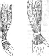 �������� - ������� - ���� �����