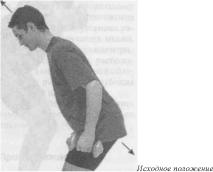 �������� - ������� - ���� �����