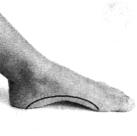 �������� - ������� - ���� �����