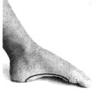 �������� - ������� - ���� �����